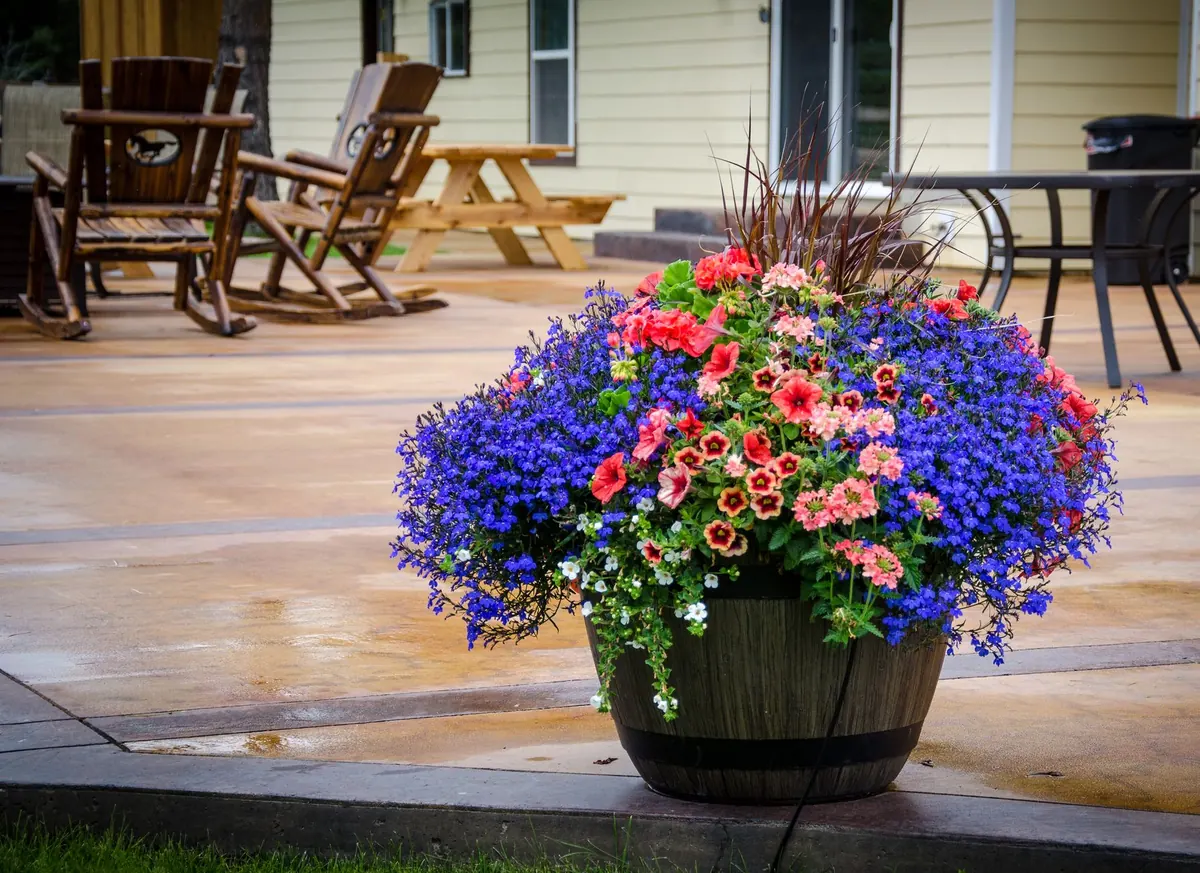 Rainwater Harvesting for Rural Homes: A Beginner's Guide